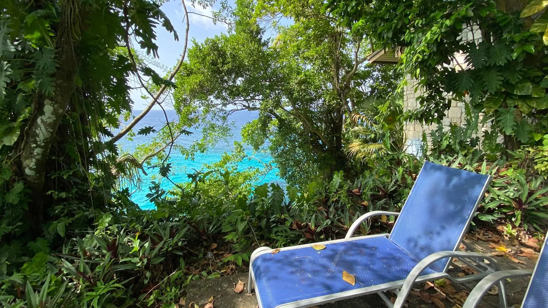 Frenchman\'S Cove Resort location
