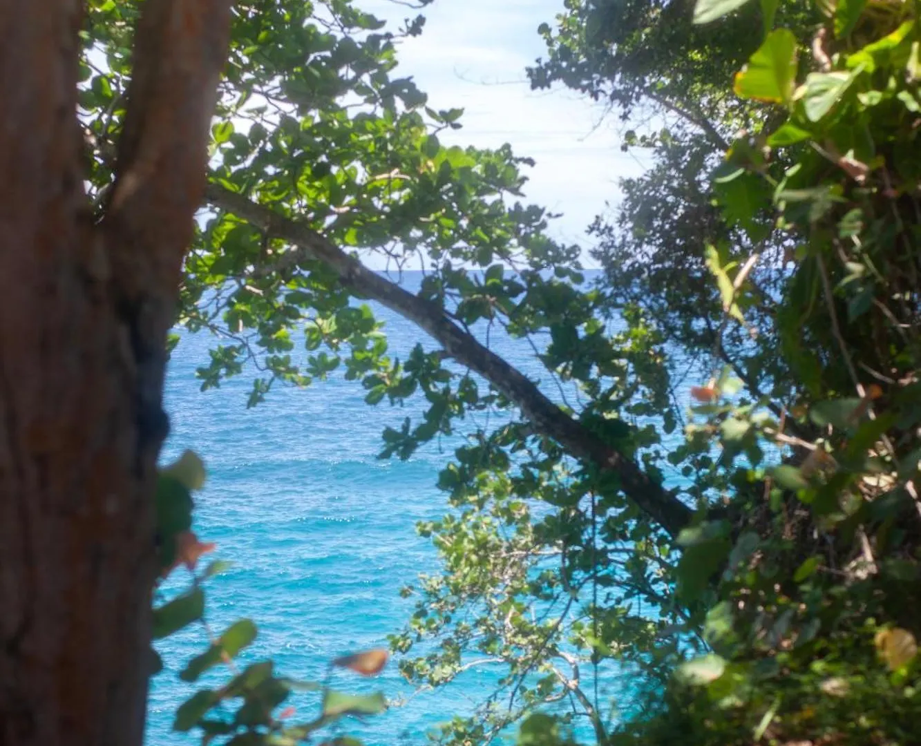 Hotel Frenchman'S Cove Resort Port Antonio