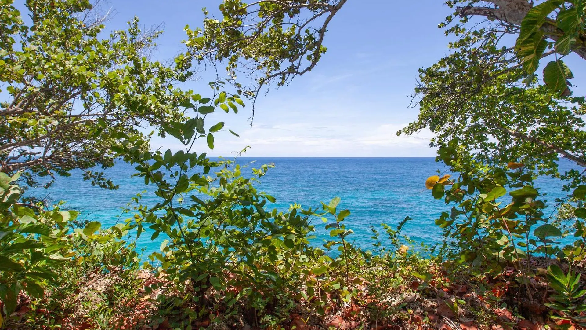 Hotel Frenchman'S Cove Resort Port Antonio