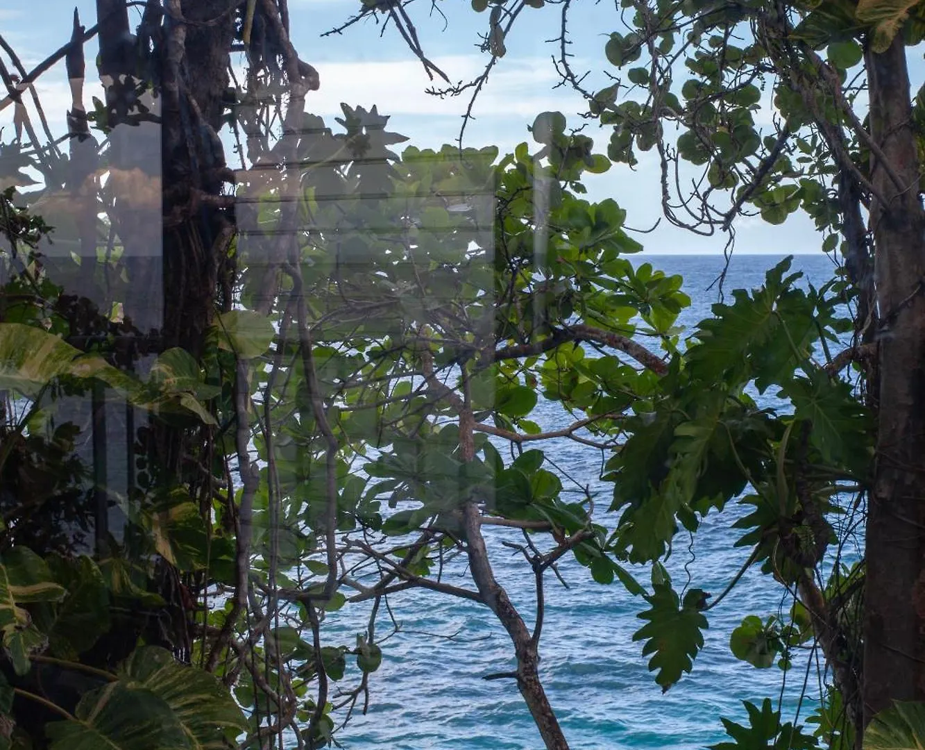 Frenchman'S Cove Resort Port Antonio Hotel